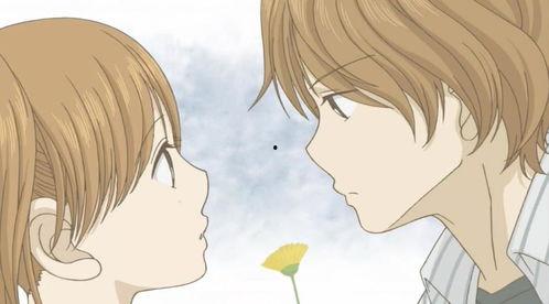 我们的存在(下),深度解析生命与宇宙的终极秘密