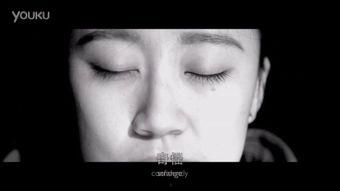 白色谎言,探寻隐藏在表象背后的真实